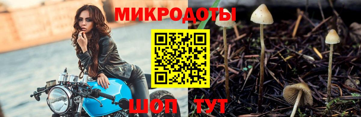 Галлюциногенные грибы Cubensis Дзержинск